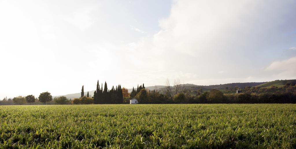 Villarrubia Cuevas Del Pino Turismo Rural Y Emocional Sl المظهر الخارجي الصورة
